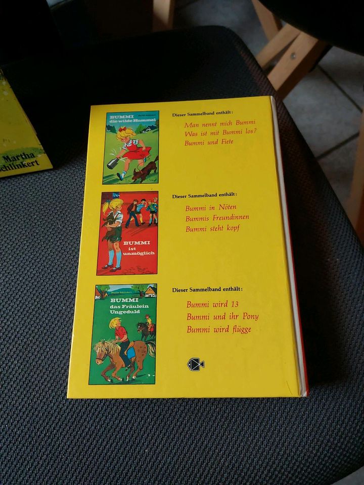 Kinderbuch Bücherpaket "Bummi" in Pottum