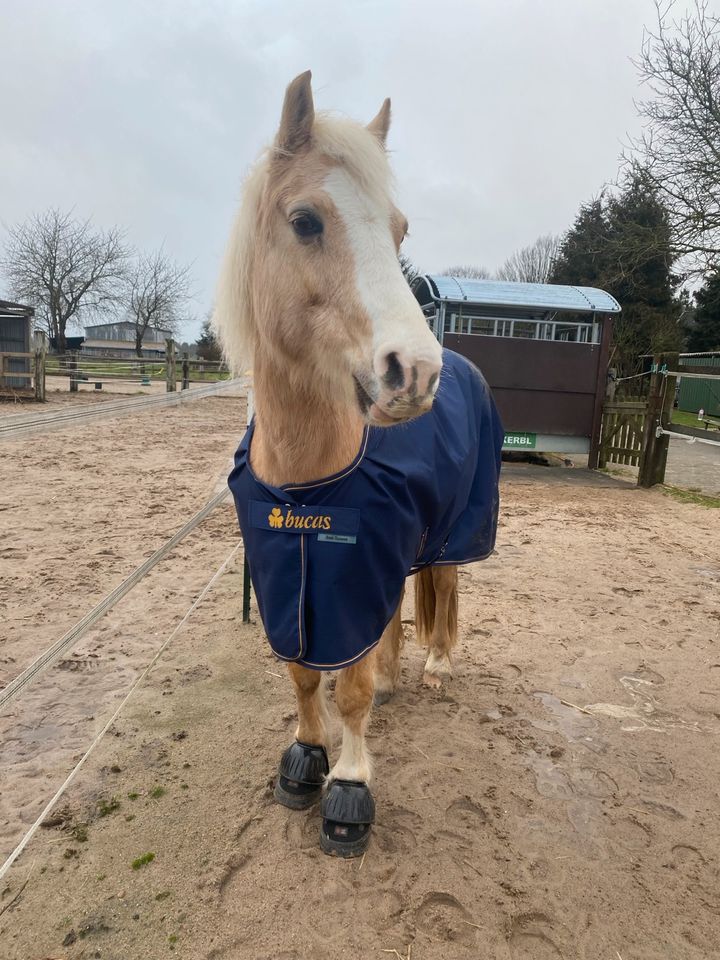 Unterstützung / Pflegebeteiligung für mein Pony in Hartenholm