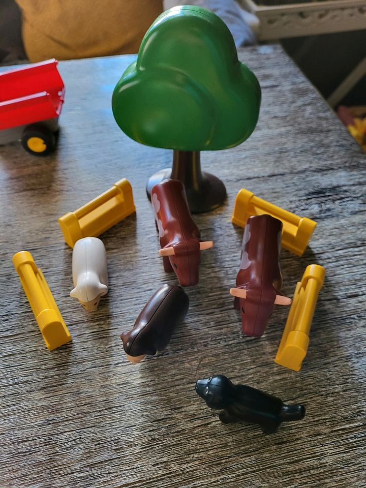 Playmobil 1,2,3 , großes Konvolut in Pappenheim