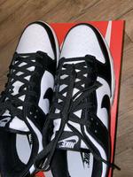 Nike Dunk Low Sneaker Herren 45 Nordrhein-Westfalen - Ibbenbüren Vorschau