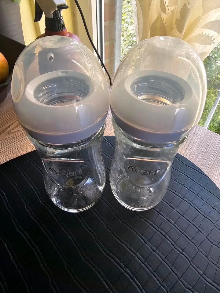 PHILIPS Avent Babyflaschen Glas in Falkensee
