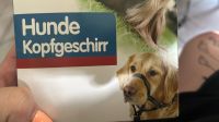 Hunde Kopfgeschirr Niedersachsen - Bad Bodenteich Vorschau