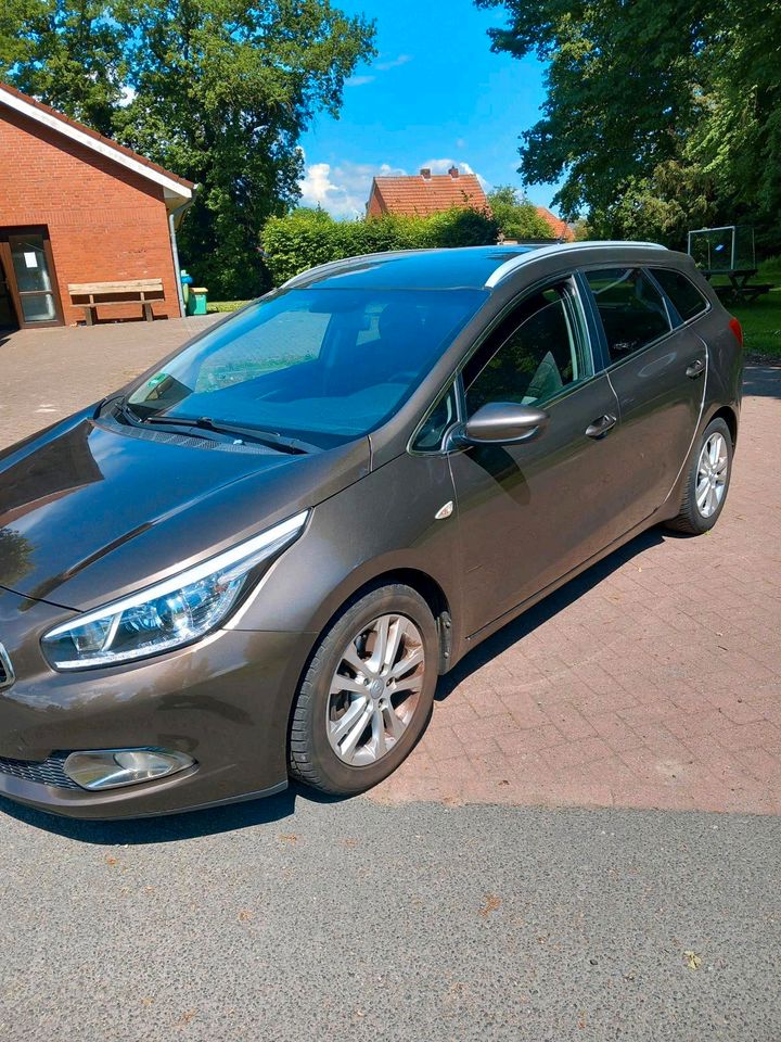 Kia Ceed SW in Westoverledingen