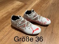 Fußballschuhe / Kinder / Größe 36 Schleswig-Holstein - Hammoor Vorschau