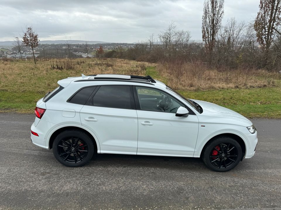 Audi Q5 FY 40TDI 2.0TDI Quattro S-Line Panorama *TOP!* in Zierenberg