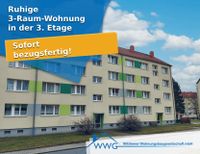 Ruhige 3-Raum-Wohnung nahe des Zentrums Sachsen - Wilthen Vorschau