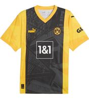 BVB Dortmund Sondertrikot 23/24, Gr. XL, originalverpackt Hessen - Darmstadt Vorschau