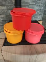 Tupperware Behälter in 3 verschiedenen Farben Saarland - Kleinblittersdorf Vorschau