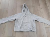 Damen Mädchen Pullover mit Kaputze Größe S Puma Hessen - Schöneck Vorschau