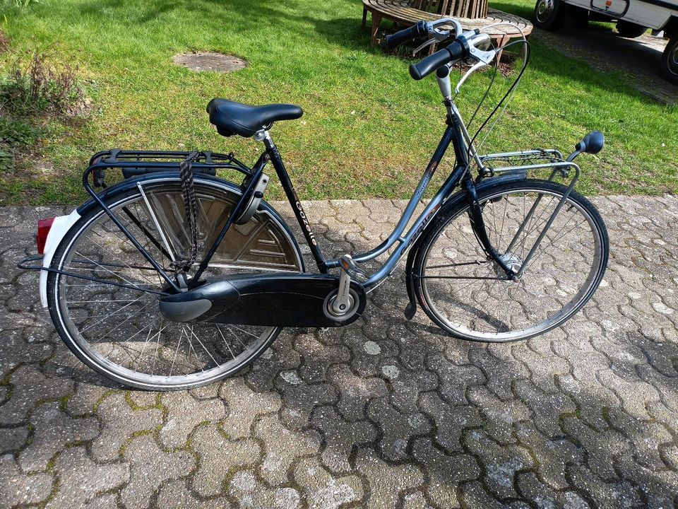 Gazelle Hollandrad Fahrrad Damenrad  RH 54 in Essen