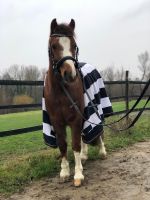 Offenstall für Pony gesucht Nordrhein-Westfalen - Altena Vorschau