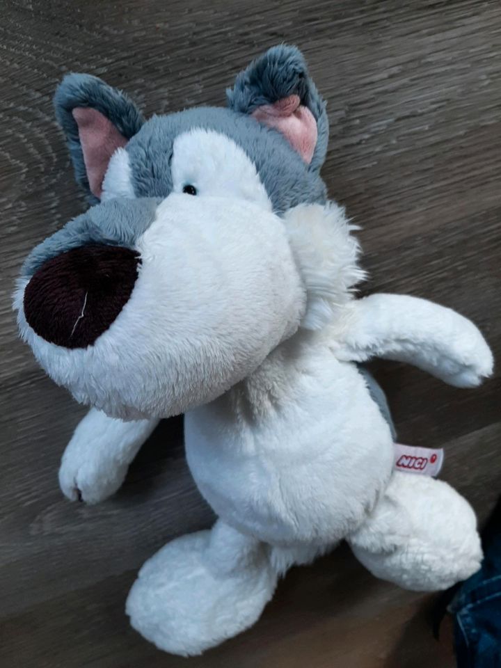 Nici Husky 40cm in Kleve