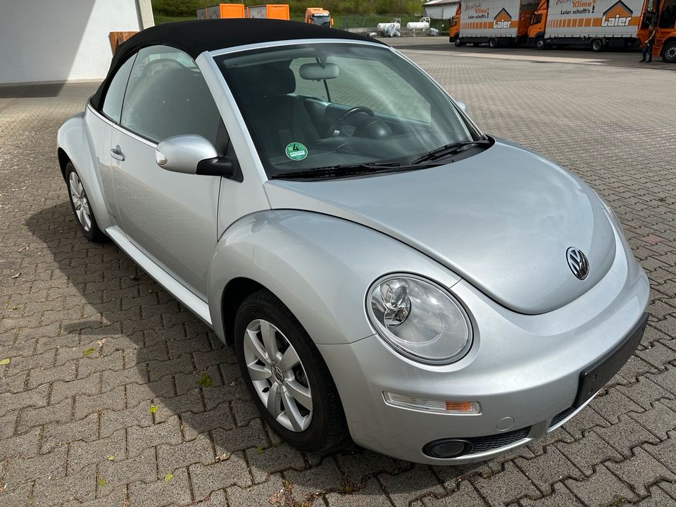 Volkswagen New Beetle Cabriolet 1.8L 150PS in Limbach