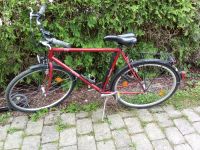 Triumph Sport Herren Fahrrad Cityrad 26 Zoll Bayern - Ainring Vorschau