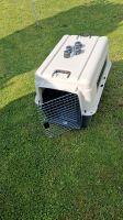 Hunde Box Transportbox  XL Nordrhein-Westfalen - Erftstadt Vorschau