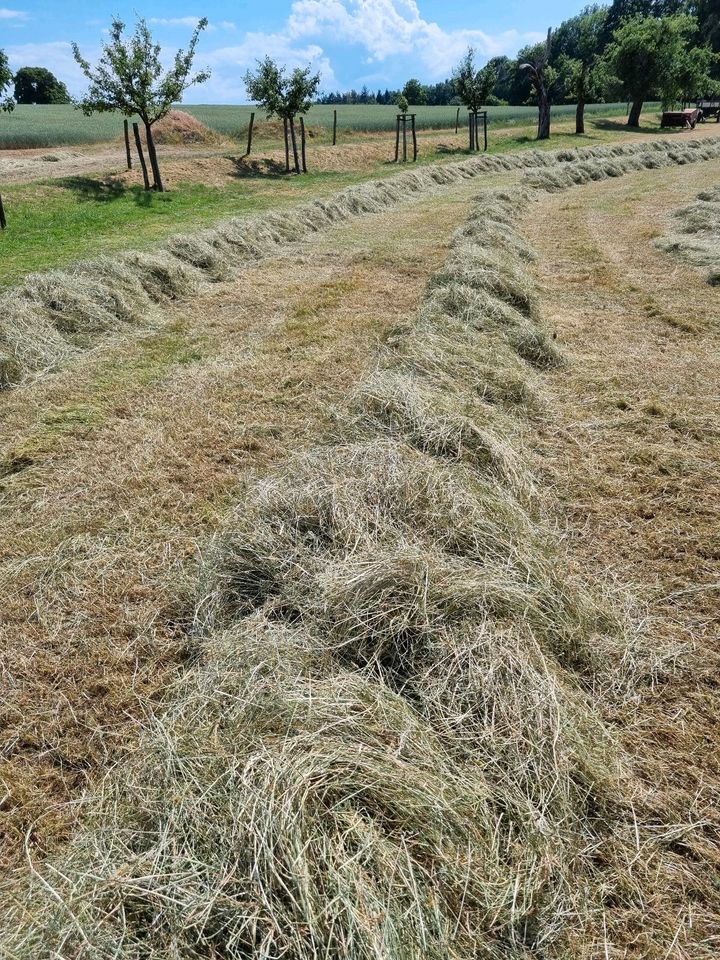 Heu, Kleinballen, 2023 in Dresden