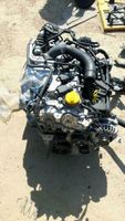 Motor Renault Dacia 1.2 TCE H5F 400 404 406 402 bj2019 Komplett Rheinland-Pfalz - Waldalgesheim Vorschau