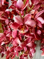 Kunstblume Orchidee dunkel-rosa Thüringen - Erfurt Vorschau