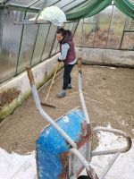 Garten helfen. Hause und Garten services Bayern - Fraunberg Vorschau