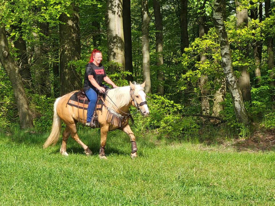 Tolle Palomino-Stute -Freizeitpferd in Urbach Westerw