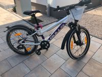 Kinderfahrrad - Bulls Sachsen - Wyhratal Vorschau