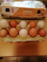 Eier von glücklichen Hühner Mecklenburg-Vorpommern - Lindetal Vorschau