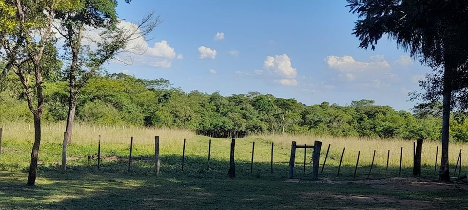 24 Ha. Grundstück mit Haus in San Estanislao-Paraguay in Zossen-Zesch am See