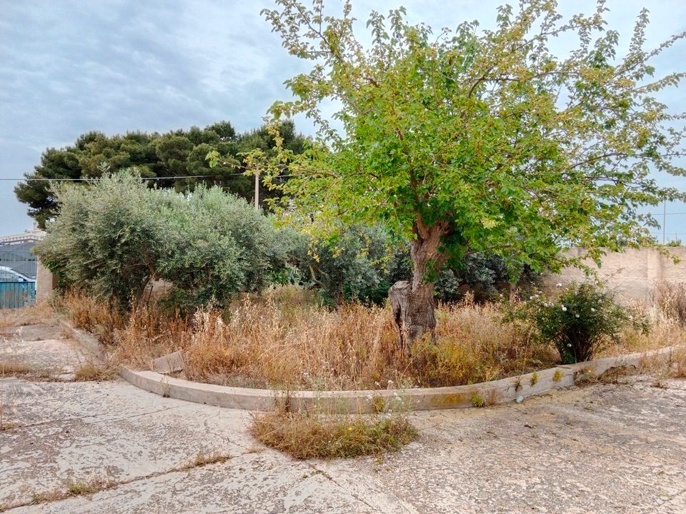 Einfamilienhaus mit Obstgarten in Meernähe von Marsala / Sizilien in Wangen im Allgäu