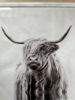 Poster Highland Cow - Highland Rind - Skandi / Hygge Bayern - Mindelheim Vorschau