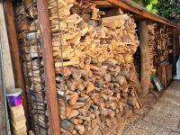 Trockenes Brennholz/ Holzbalken Hessen - Bad Homburg Vorschau