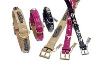 Set Hundehalsband City Chic 45 cm + Leine 100 cm in rosa Rodenkirchen - Sürth Vorschau