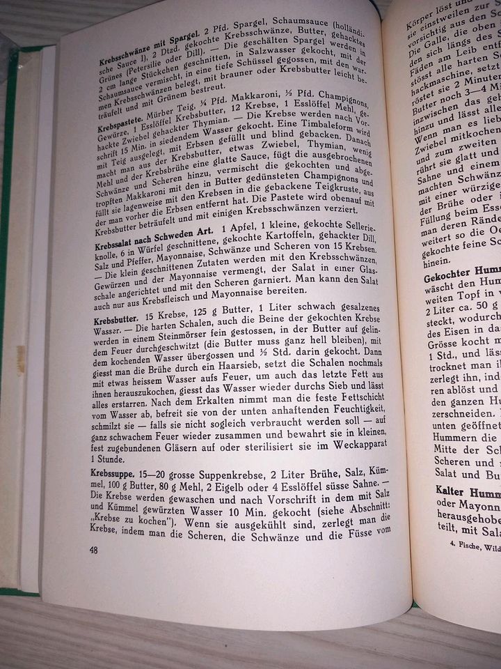 Altes Buch Kochbuch Rezepte Fisch Wild Geflügel in Bochum