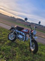 Skyteam Monkey 50 Moped wie neu 593 km Baden-Württemberg - Empfingen Vorschau