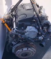 Kompletter Motor BLS VW Golf, Caddy, Skoda Octavia 1.9 TDI Rheinland-Pfalz - Deuselbach Vorschau