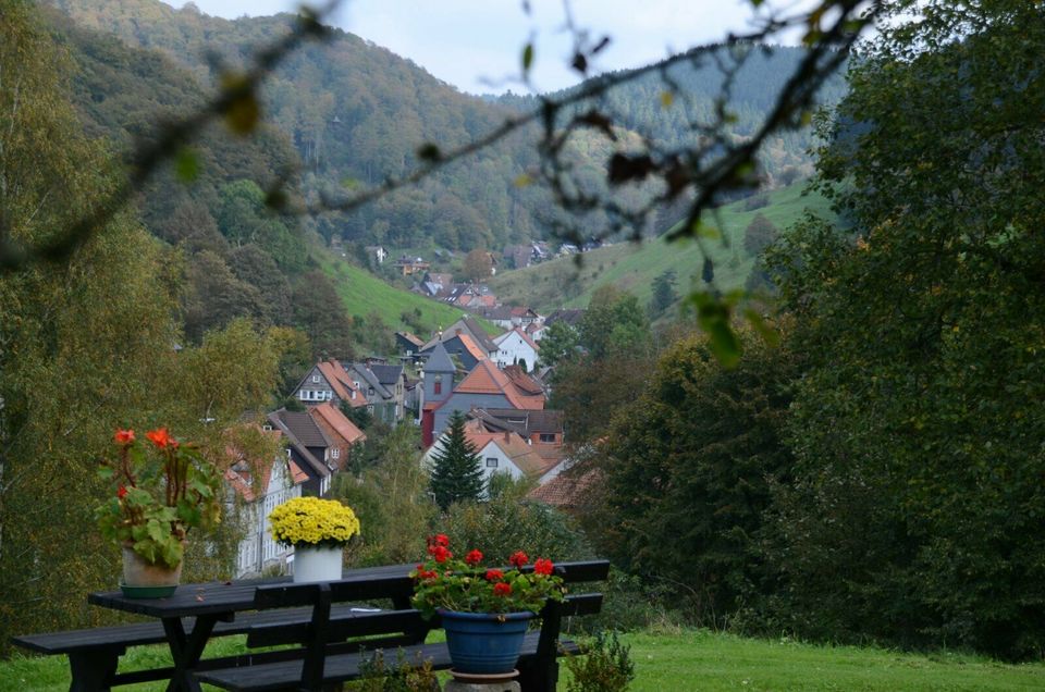 Ferienhaus im Harz, Harzer Hexenstieg in Osterode am Harz