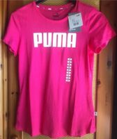 Damen T Shirt  Puma NEU  Grösse S Schleswig-Holstein - Schafstedt Vorschau