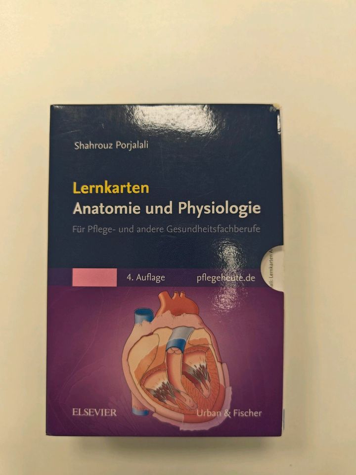 Lernkarten Anatomie / Physiologie in Pforzheim