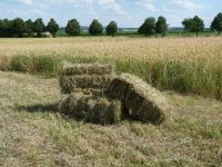 Heu in HD Ballen Hessen - Antrifttal Vorschau