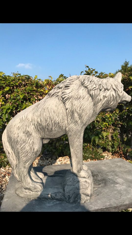 Wolf Lebensgroß 80cm 130kg Wölfe Wolfshund Husky Timberwolf in Karlsruhe