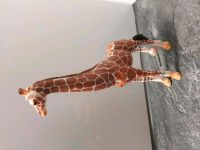 NEU Schleich 14750 Giraffenkuh Giraffe Mama Figur Spielfigur West - Zeilsheim Vorschau