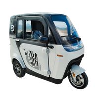 3 Rad Elektro Kabinenroller "JOE" Seniorenmobil 25kmh + 45 kmh Geco EQ Stormborn Elektromobil Trike Premium Rollstuhl Behindertenmobil Elektro Frosch Aktiv Deutschland Econelo ECO Engel Senioren NELO Müritz - Landkreis - Waren (Müritz) Vorschau