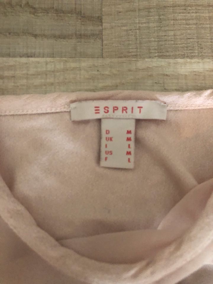 Esprit Shirt Print transparent  rosa/beige in Hannover