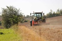 15 ha Wald bei Graustein Brandenburg - Spremberg Vorschau