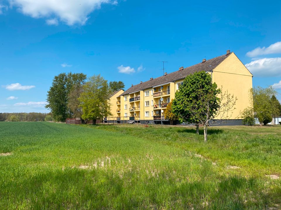 Mehrfamilienhaus in Salzwedel in Salzwedel