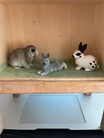 Kaninchen Hase von Schleich Nordrhein-Westfalen - Erkelenz Vorschau