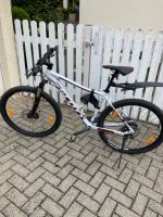 SCOTT Mountainbike für Damen Bayern - Kronach Vorschau