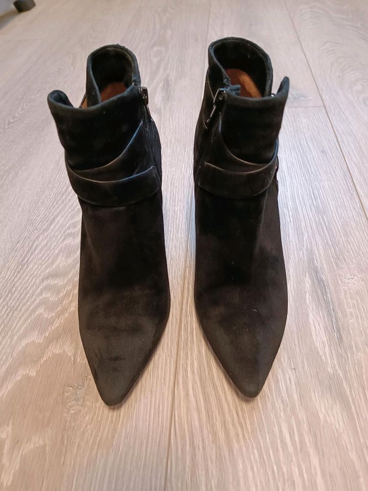 Stiefeletten aus Veloursleder von Belmondo.Gr.38. Top Zustand in Hamburg