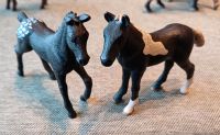 Schleich Fohlen schwarz Kreis Pinneberg - Halstenbek Vorschau