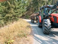 Transport mit Rückeanhänger Thüringen - Saalfelder Höhe Vorschau