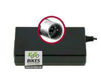 Ladegerät Heinzmann Akku Li-Ion 48V 2A Stecker XLR4 E-Bike Nordrhein-Westfalen - Bottrop Vorschau